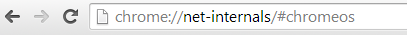 Example image showing the net-internals URL in the address bar.