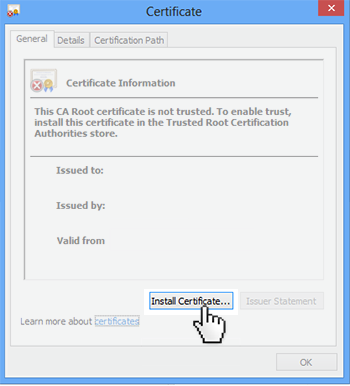 Sample image of the Windows RT certificate installation dialog