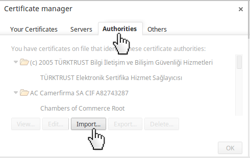 Example image showing how to select the certificate authorities tab followed by the import button.